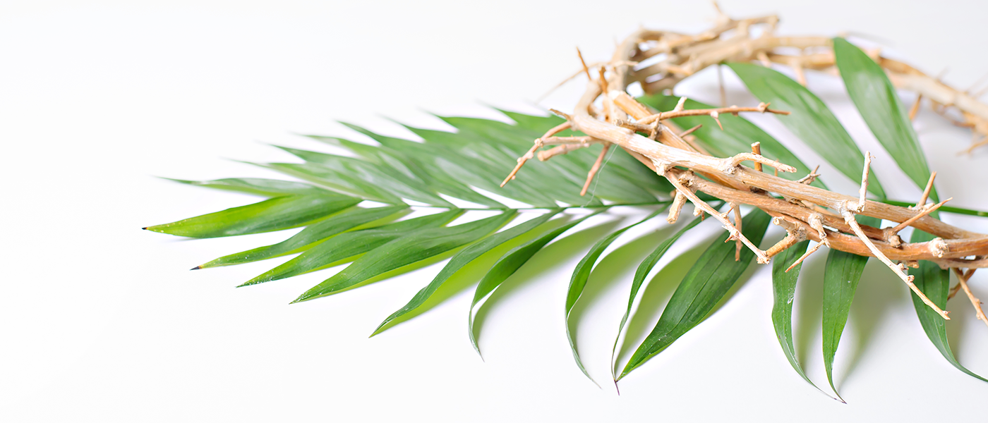 Palm Sunday March 28 Christ Church United Methodist He descends from the mount of olives and into bethany. palm sunday march 28 christ church